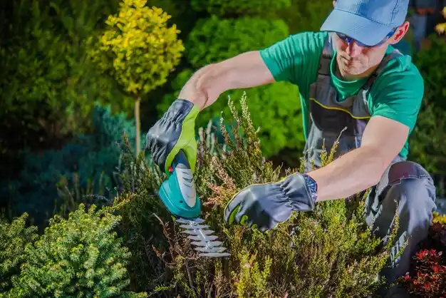 landscaping services Arlington